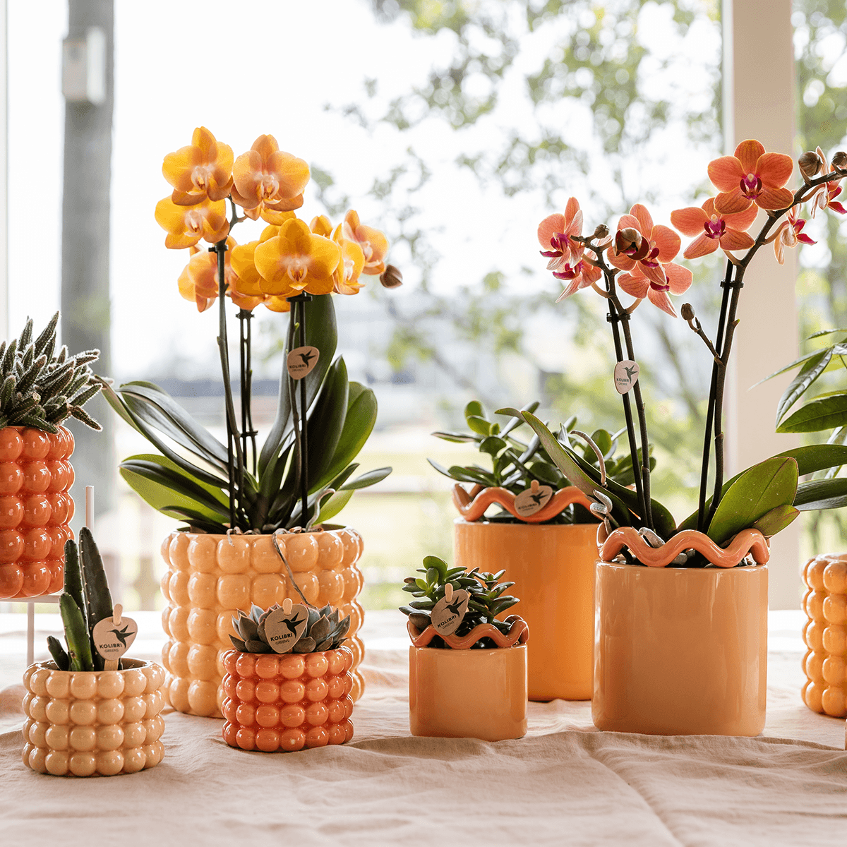 Ziertopf Poppy – Peach – Ø6cm – Kleiner Keramik Blumentopf in glänzendem Pfirsichton – Stilvoller Übertopf für Mini-Zimmerpflanzen, Sukkulenten & Kakteen
