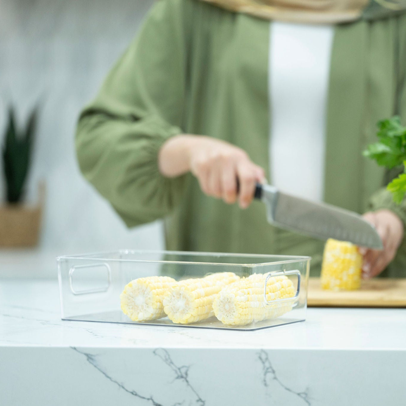 Clear Multi-Use Storage Tub – Small