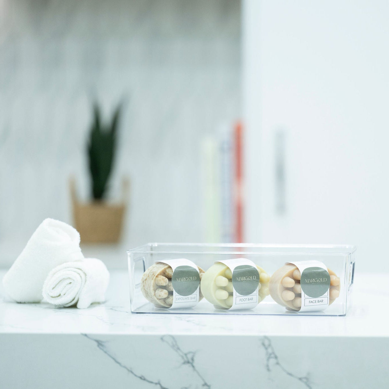 Clear Multi-Use Storage Tub – Small