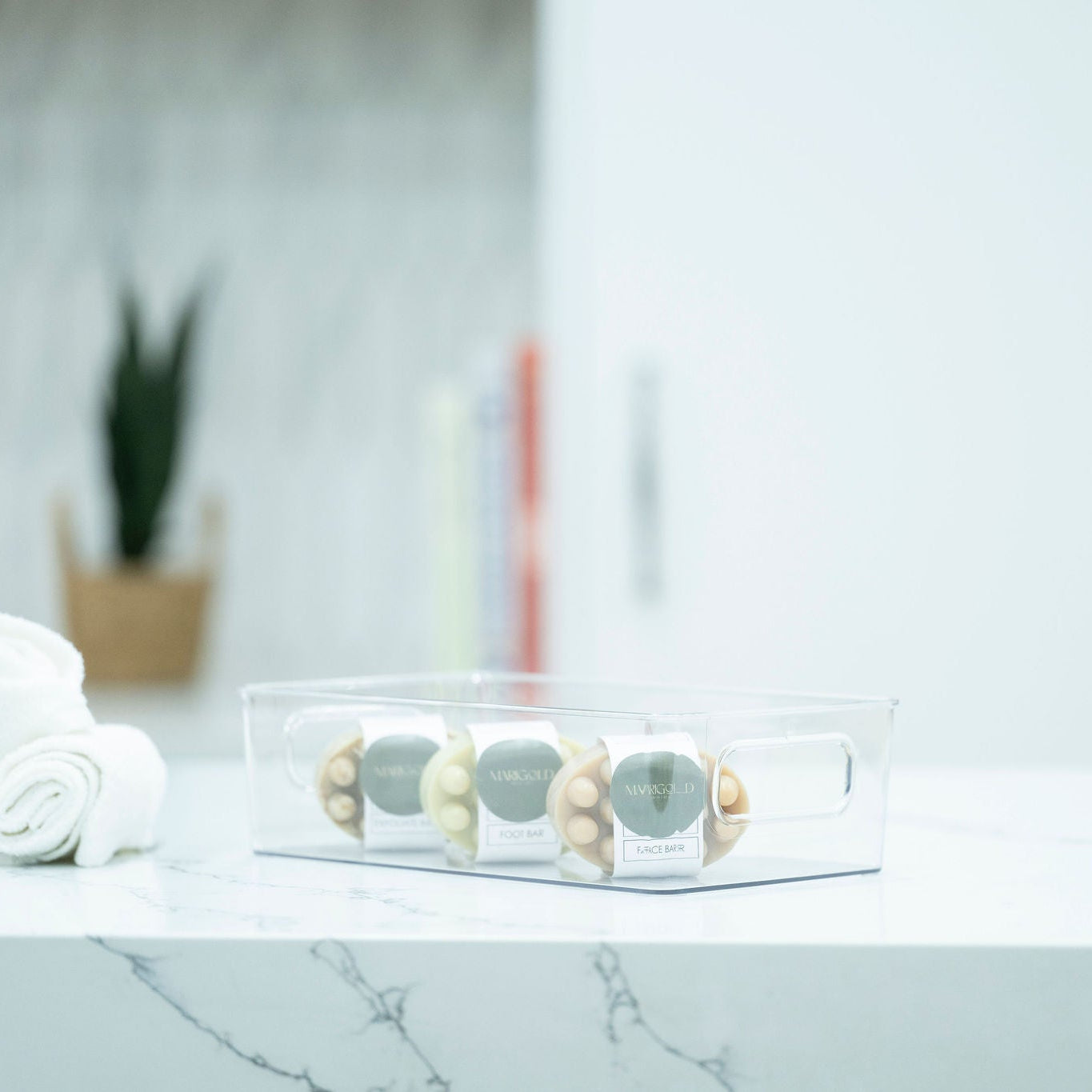 Clear Multi-Use Storage Tub – Small
