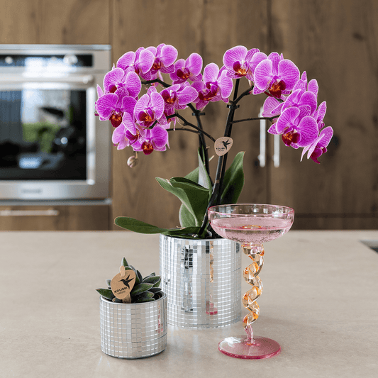 Blumentopf Disco – Ø9cm – Moderner Keramik Ziertopf mit glänzender Struktur – Stilvoller Übertopf für kleine Zimmerpflanzen, Sukkulenten & Kakteen