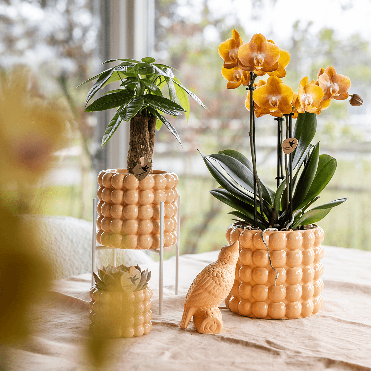 Ziertopf Poppy – Peach – Ø6cm – Kleiner Keramik Blumentopf in glänzendem Pfirsichton – Stilvoller Übertopf für Mini-Zimmerpflanzen, Sukkulenten & Kakteen