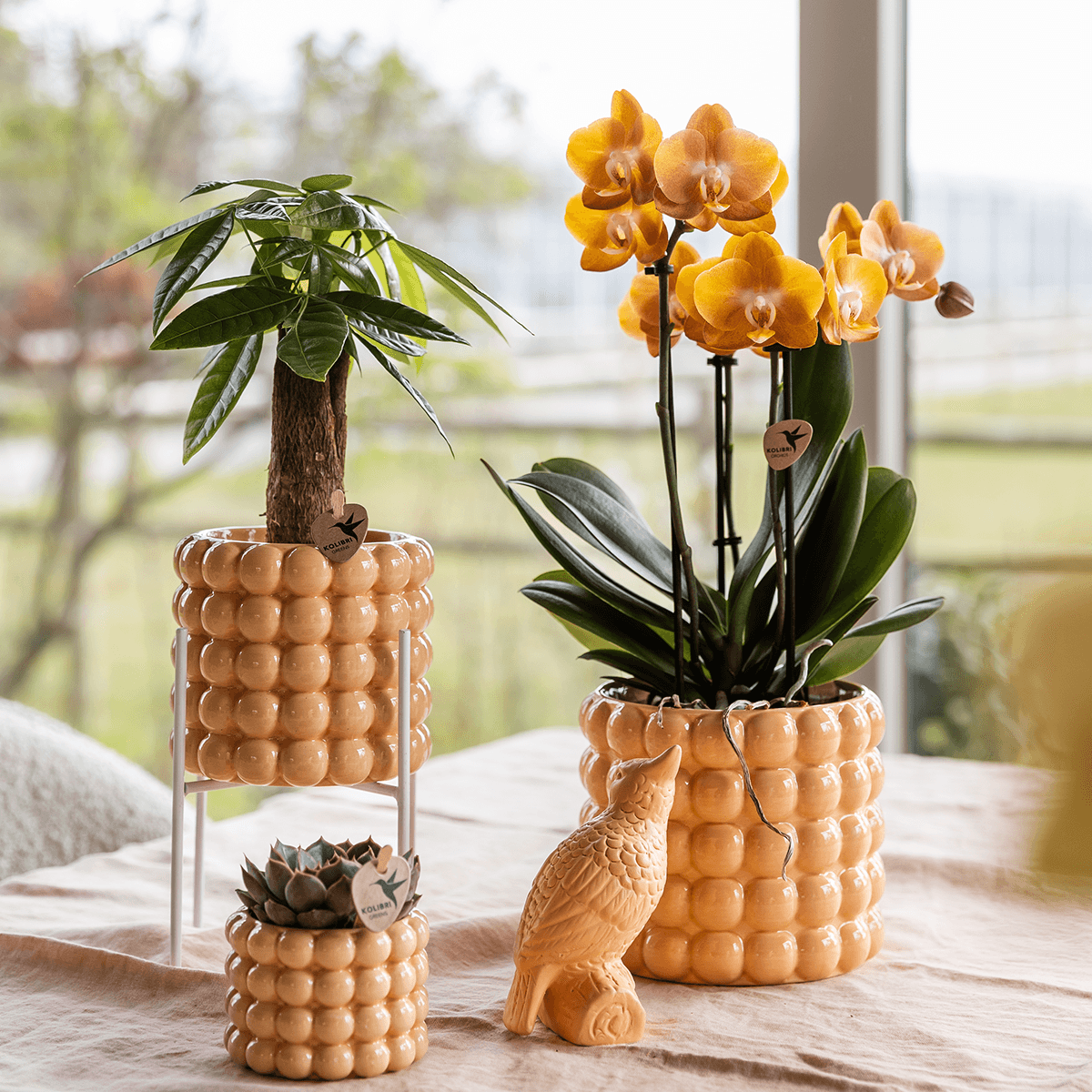 Ziertopf Poppy – Peach – Ø6cm – Kleiner Keramik Blumentopf in glänzendem Pfirsichton – Stilvoller Übertopf für Mini-Zimmerpflanzen, Sukkulenten & Kakteen
