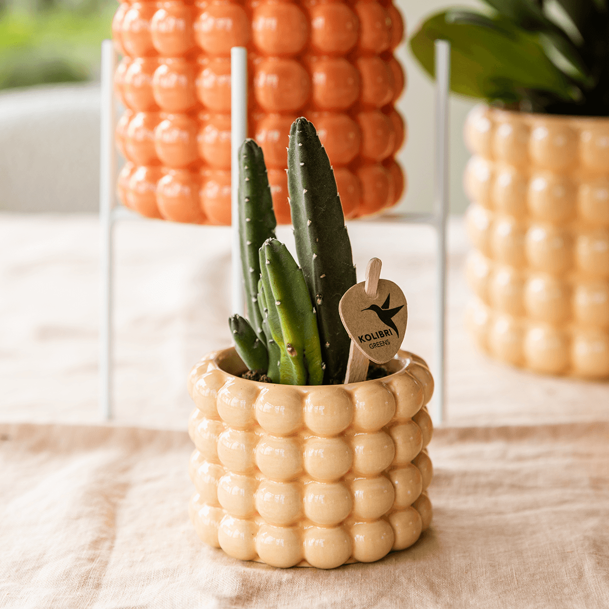 Ziertopf Poppy – Peach – Ø6cm – Kleiner Keramik Blumentopf in glänzendem Pfirsichton – Stilvoller Übertopf für Mini-Zimmerpflanzen, Sukkulenten & Kakteen