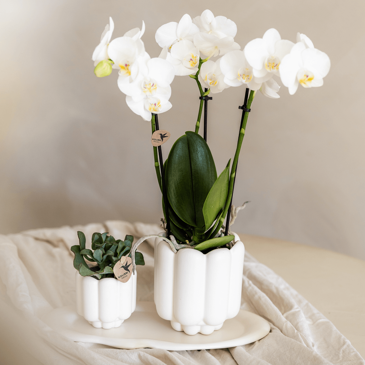 Retro Pflanztopf – Weiß – Ø9cm – Übertopf aus Keramik – Slow Living Kollektion – Blumentopf mit Rillenstruktur