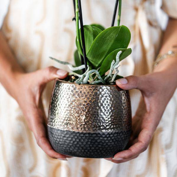 Elite Flower Pot Copper – Ø9cm – Modern Ceramic Planter – Decorative Pot for Small to Medium Houseplants – Stylish Home Decor