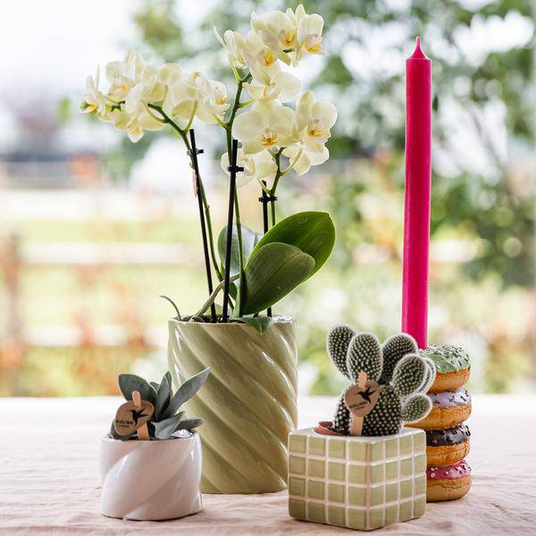 Candy Dekotopf hoch Grün Ø9cm – runder Keramik Übertopf in frischem Grün – fröhliches Design für Orchideen & Zimmerpflanzen