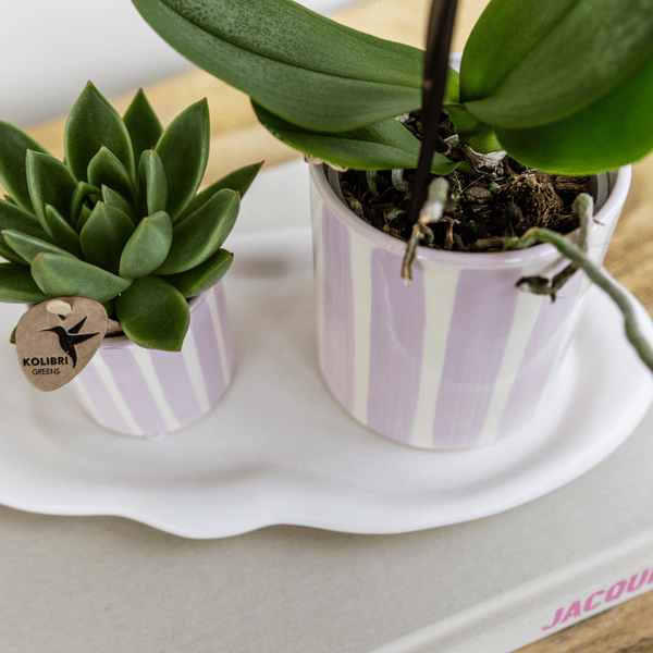 Painted Stripe Blumentopf Rosa Ø9cm – Keramiktopf im Streifenmuster – Pflanzentopf im Mediterranean Sunset Design