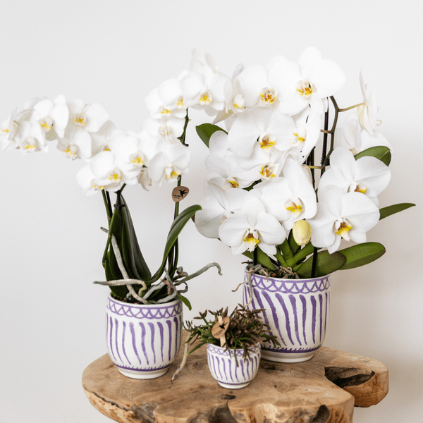 Topf Granada Flieder – Ø9cm – Keramik Blumentopf im mediterranen Stil – Hochglänzender Dekotopf für Zimmerpflanzen, Sukkulenten & Kräuter
