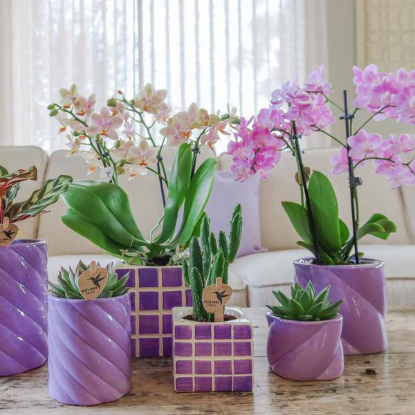 Candy Blumentopf Flieder Ø9cm – Keramiktopf in runder Form – Pflanzentopf für Orchideen, Sukkulenten & Grünpflanzen