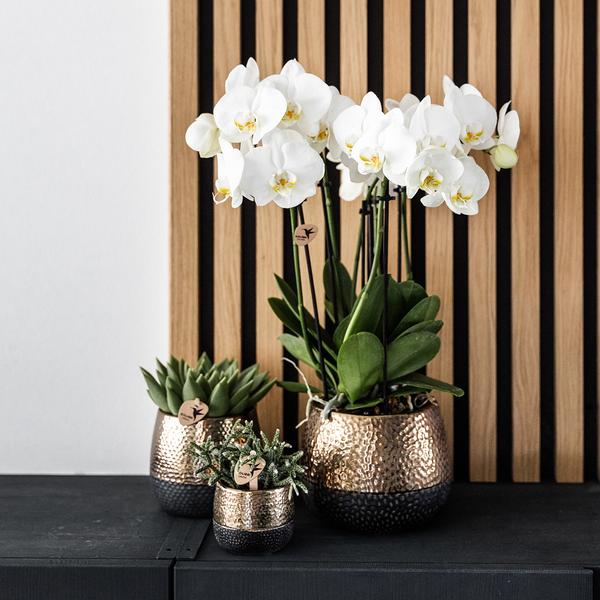 Elite Flower Pot Copper – Ø9cm – Modern Ceramic Planter – Decorative Pot for Small to Medium Houseplants – Stylish Home Decor