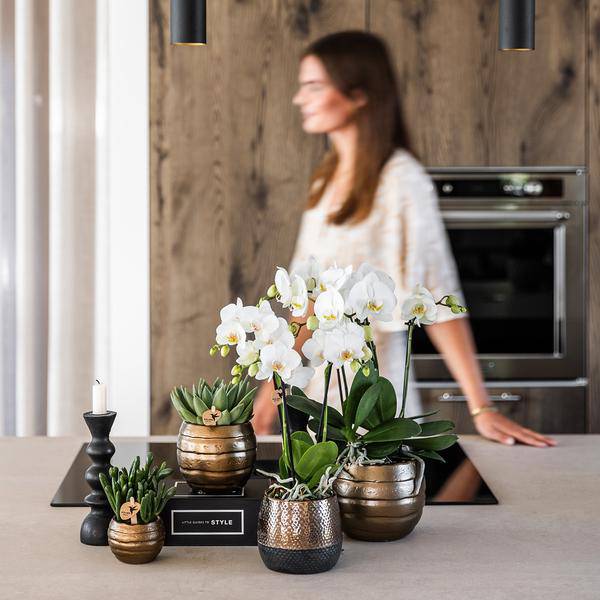 Elite Flower Pot Copper – Ø9cm – Modern Ceramic Planter – Decorative Pot for Small to Medium Houseplants – Stylish Home Decor