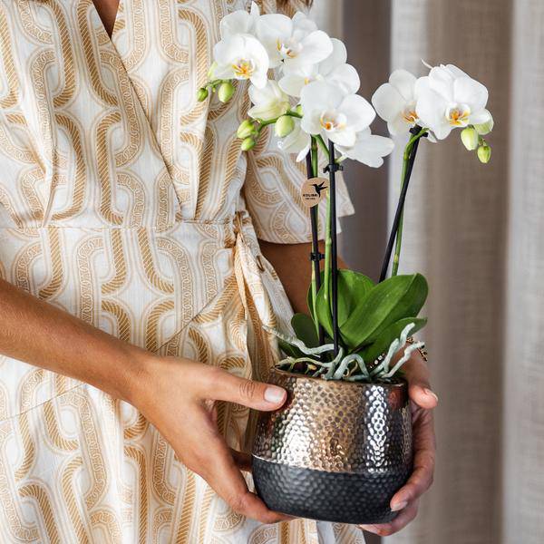 Elite Flower Pot Copper – Ø9cm – Modern Ceramic Planter – Decorative Pot for Small to Medium Houseplants – Stylish Home Decor