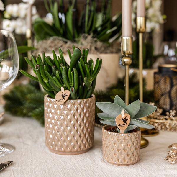 Diamant Perle Dekotopf – Sand – Ø9cm – Blumentopf in Steinoptik – Eleganter Dekotopf für Zimmerpflanzen, Sukkulenten & Kakteen
