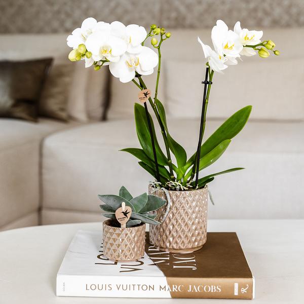 Diamant Perle Dekotopf – Sand – Ø9cm – Blumentopf in Steinoptik – Eleganter Dekotopf für Zimmerpflanzen, Sukkulenten & Kakteen