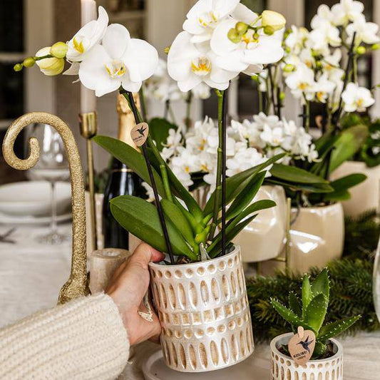 Mosaic Decorative Pot – Ø9cm – Elegant Flower Pot with Golden Mosaic Details – Planter for Succulents & Small Plants